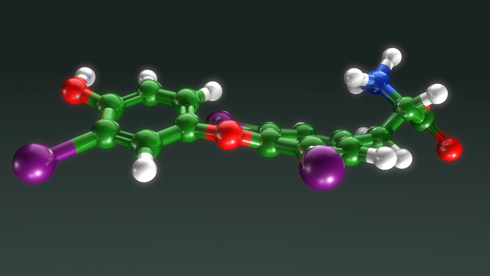 3D ball-and-stick molecular model of thyroxine (T4) showing iodine, oxygen, nitrogen, and carbon atoms